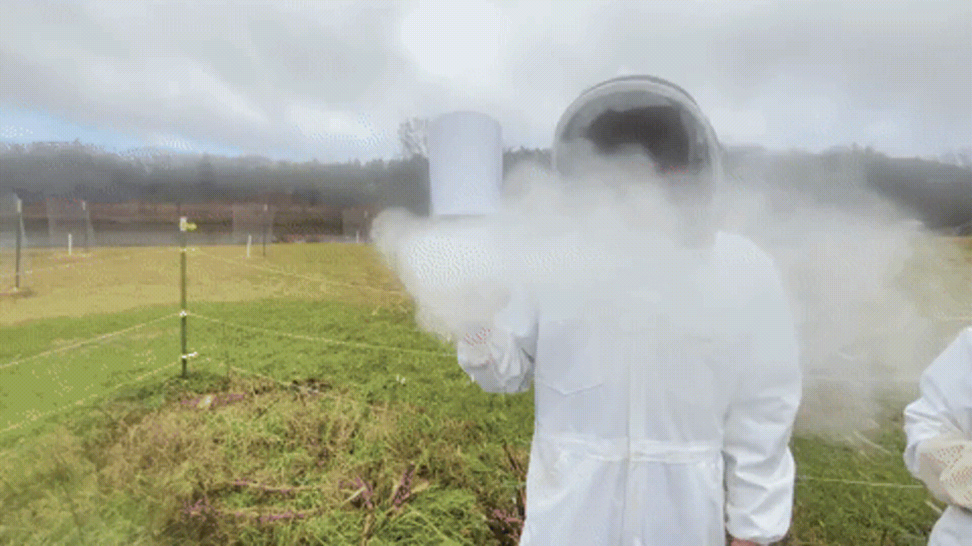 FreeBee treating a live hive at Dartmouth's Organic Farm